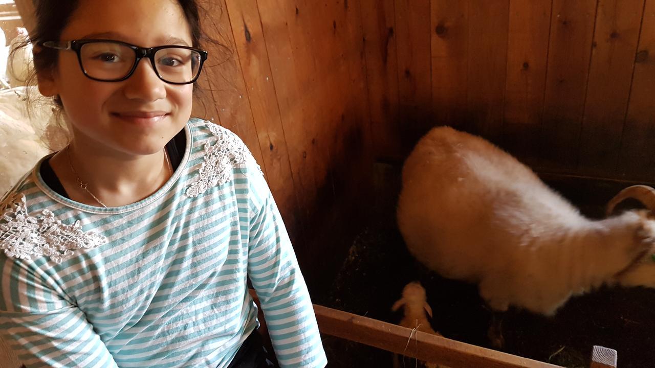 Klara'S Farm Holidays Hella Exterior photo